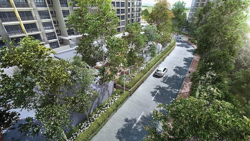 Oasis 2